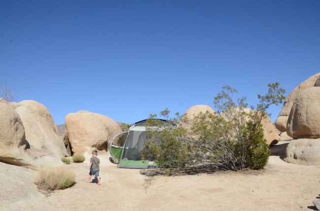 Camping in Joshua Tree National Park