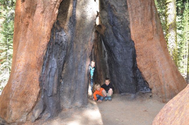 Sequoia National Park