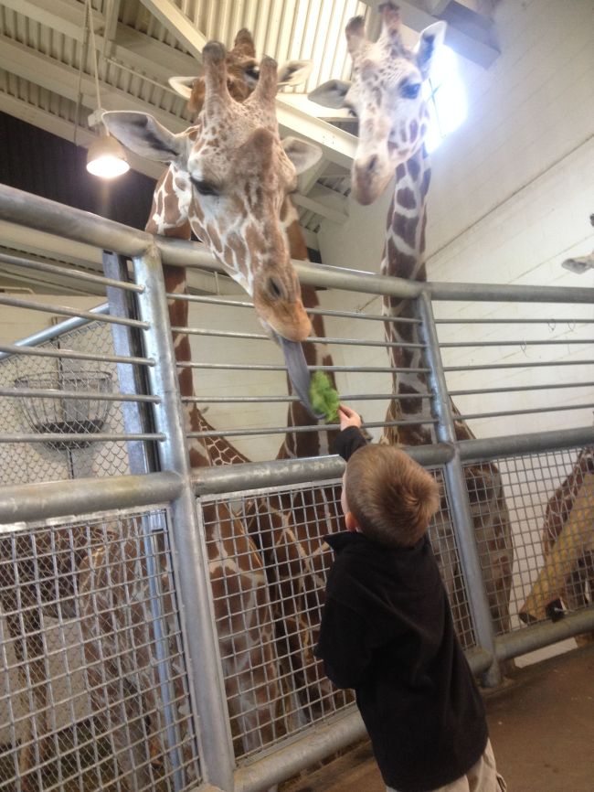 Colorado Springs Zoo