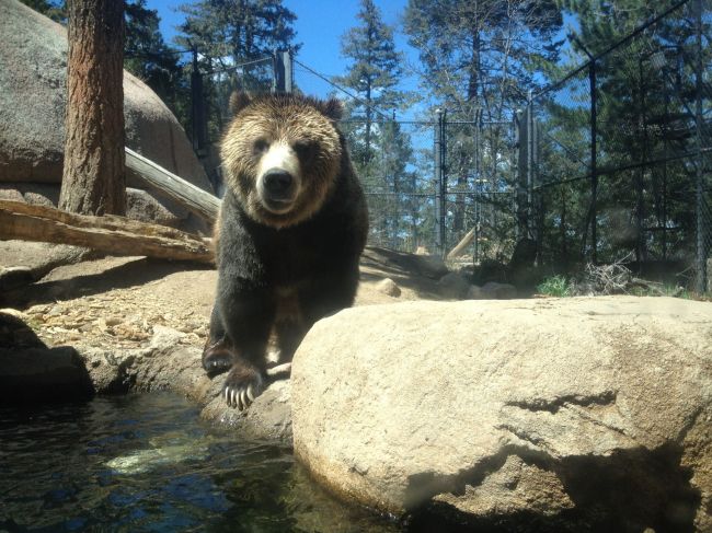 Colorado Springs Zoo