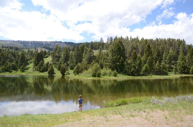 Fishing at Joffee Lake, Yellowstone National Park