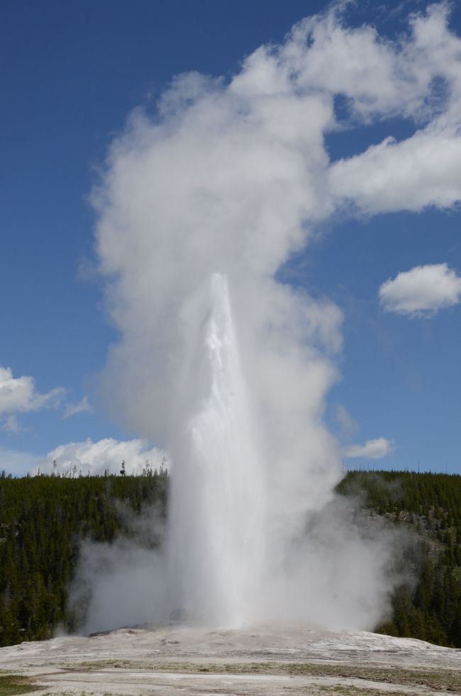 Old Faithful Geyser at Yellowstone