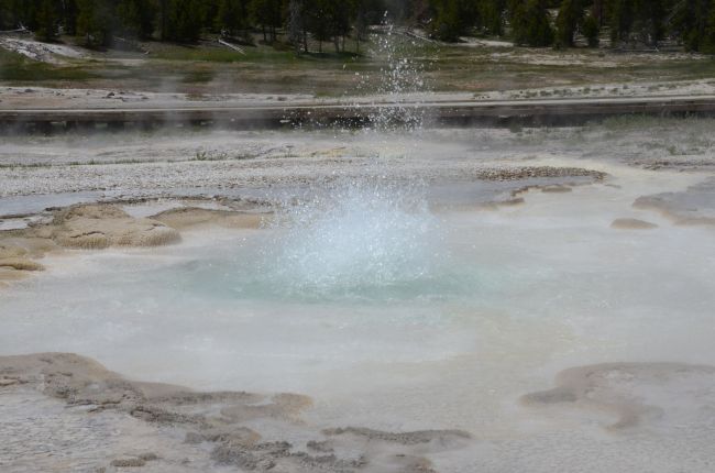 A small geyser at Yellowstone