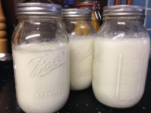 Yummy homemade yoghurt in one of America's best kept secrets... Ball jars