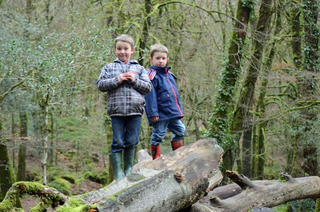 Boys at Golitha Falls
