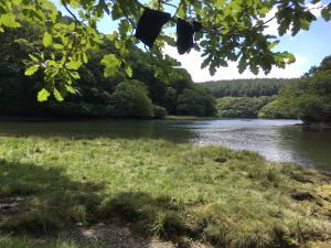 drying sicks high tide